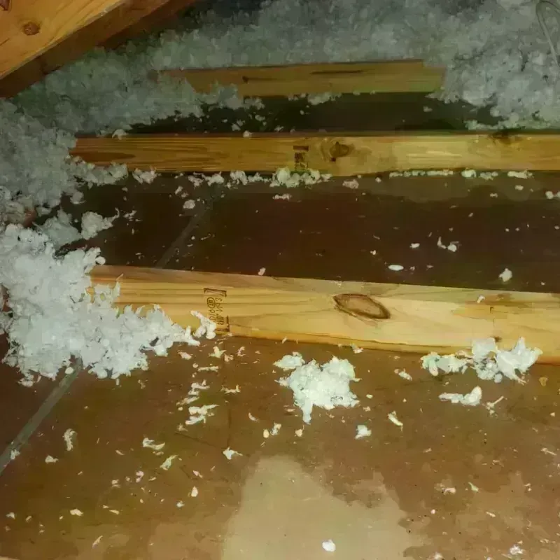 Attic Water Damage in Mechanicsville, IA