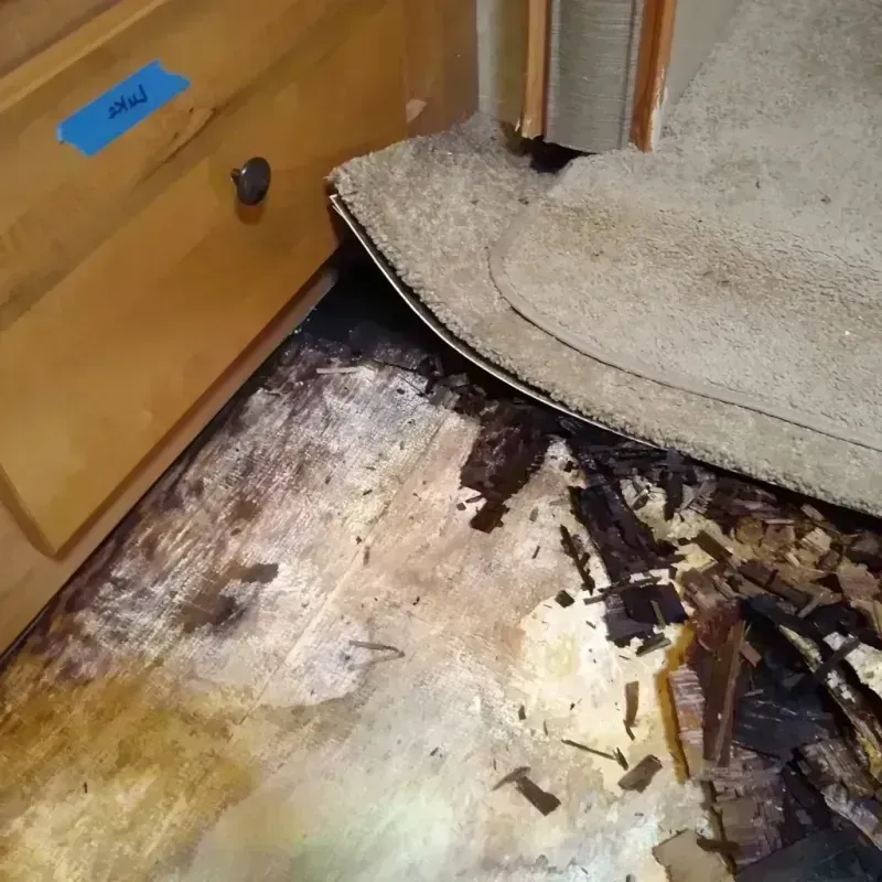 Best Wood Floor Water Damage Service in Mechanicsville, IA